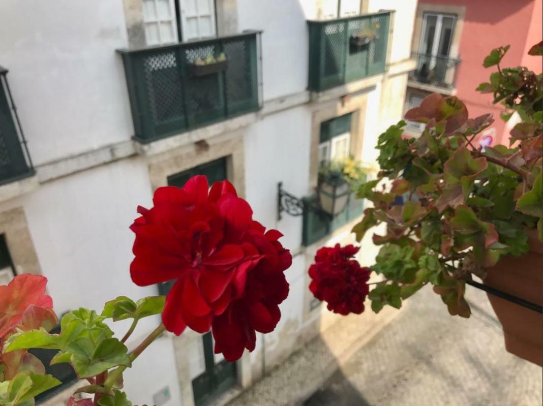 In The Heart Of Lisbon Apartamento Exterior foto